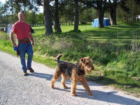 Walking in the forest