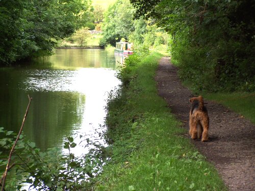 WharfedaleCanal