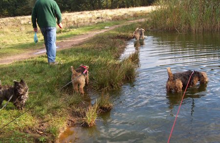 Paddling