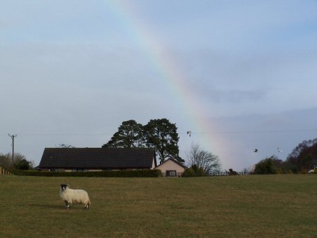 rainbow