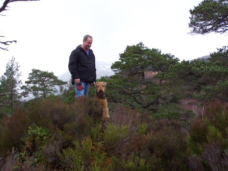 glen affric