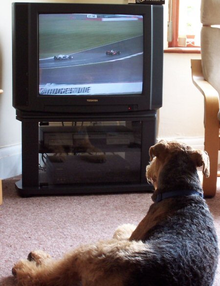 watchingf1
