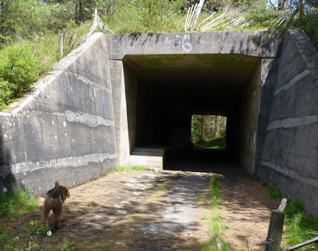 Tunnel